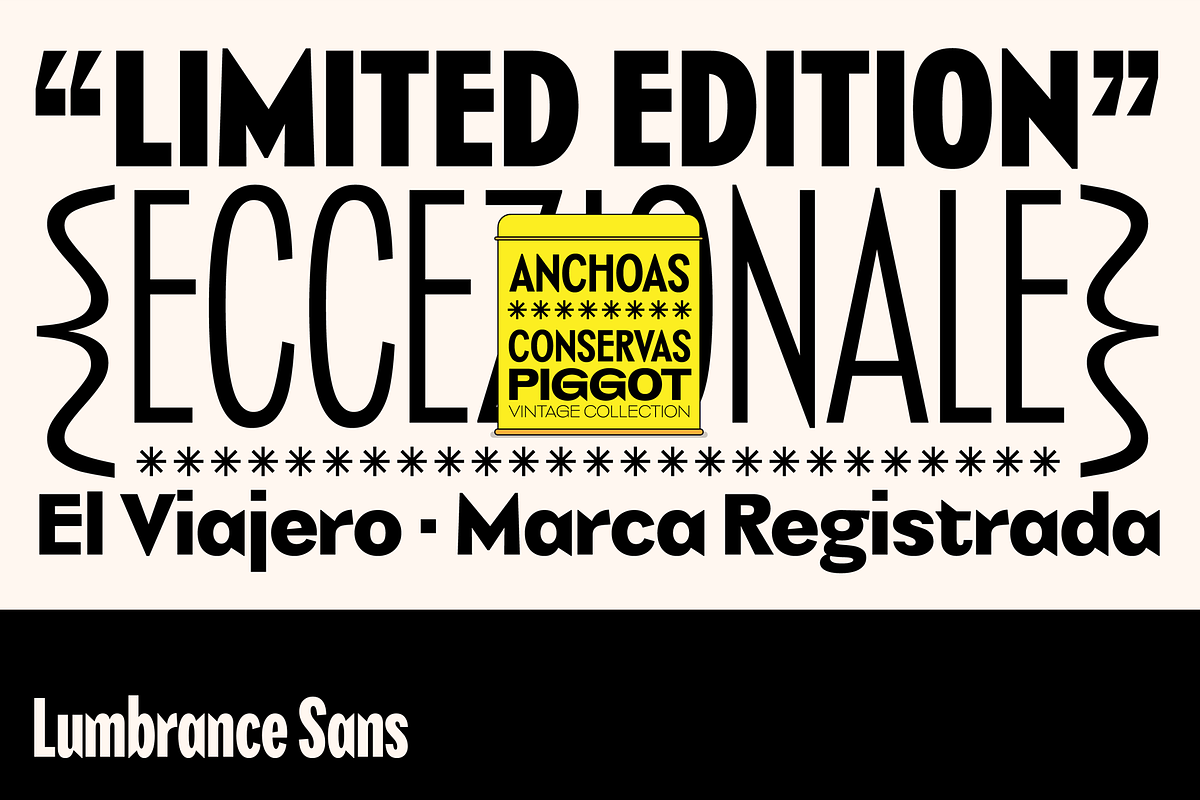 Lumbrance Sans, a Font by Sudtipos (Photo 5 of 7)