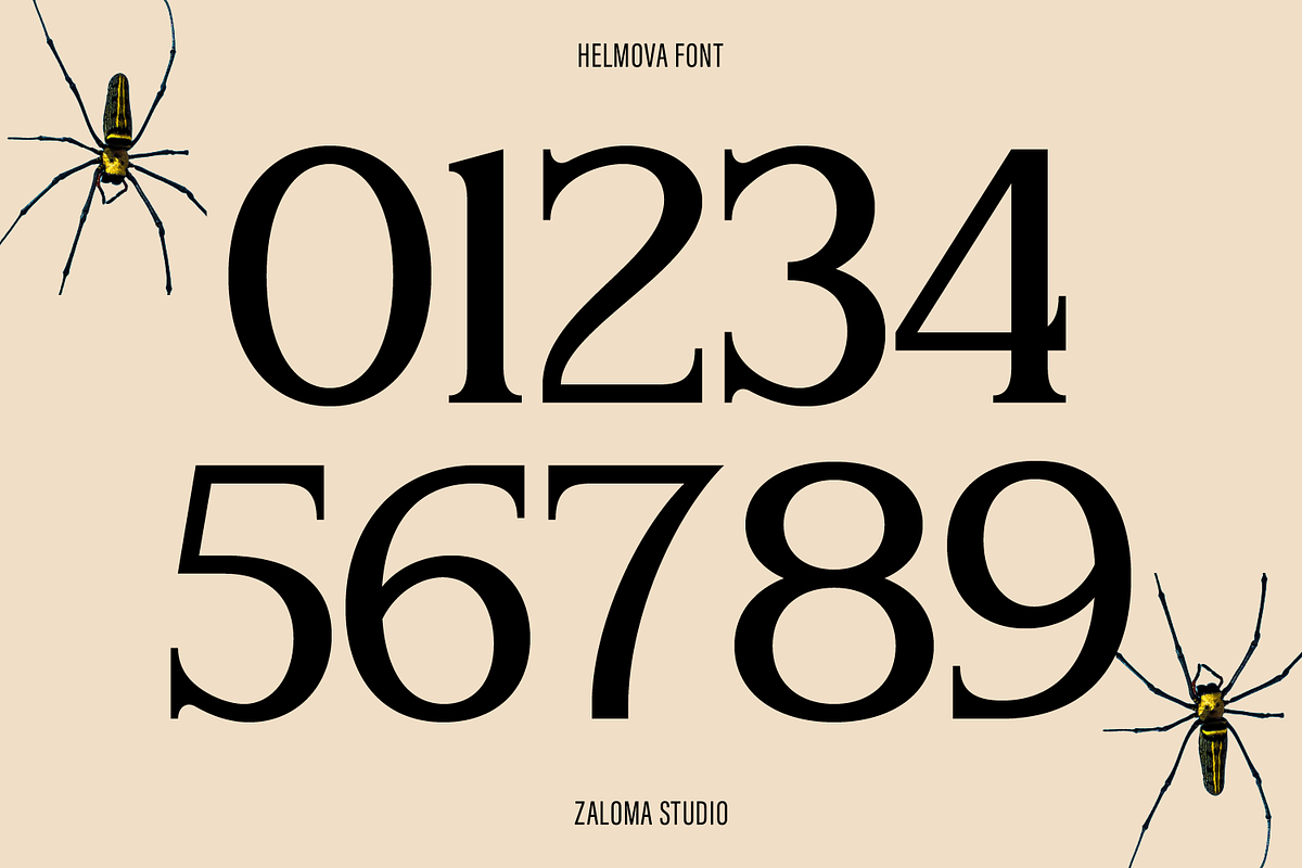 Helmova, a Serif Font by Zaloma Studio (Photo 16 of 18)