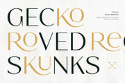 Blessrosa - Elegant Luxury Sans Font, a Sans Serif Font by Typia Nesia (Thumbnail 7 of 14)