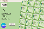 10 Canva Plant Top 5s Instagram Post, a Social Media Template by Emerald Eyes Design (Thumbnail 1 of 5)