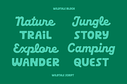 Wild Tale - Display Fonts, a Font by Stable (Thumbnail 3 of 7)