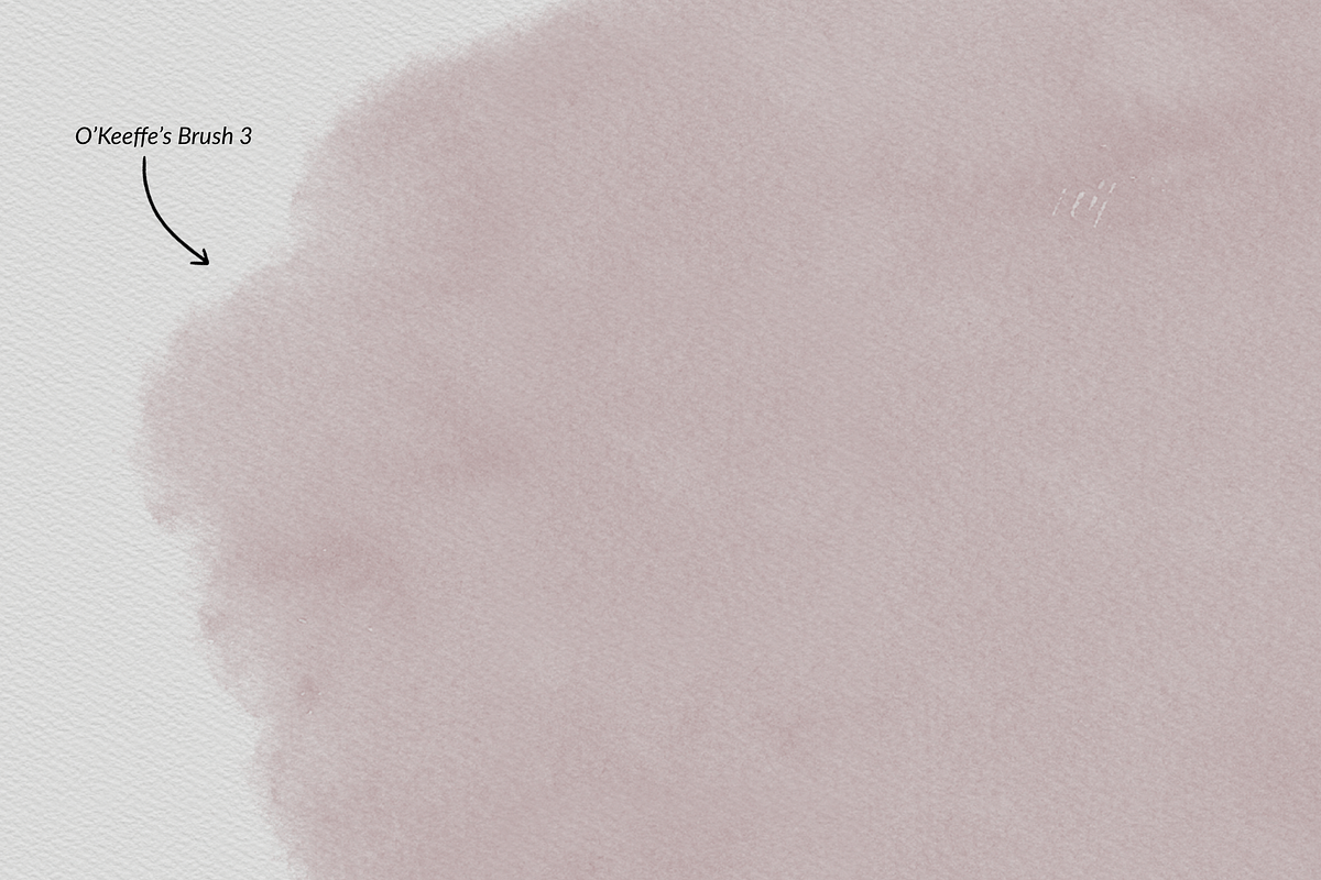 Georgia O' Keeffe Procreate Brushes, a Brush Add-On by Digi Life (Photo 9 of 20)