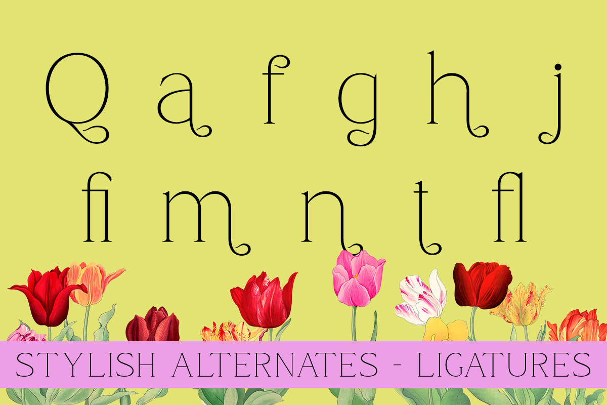 Qamora - Elegant Serif Font, a Serif Font by Sohel Studio (Photo 10 of 10)
