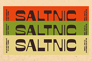 Salsa Grande & Extras!, a Sans Serif Font by IronbirdCreative (Thumbnail 9 of 10)
