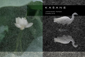 Kasane - Japanese Paper Overlays, a Texture Graphic by alonahaidash