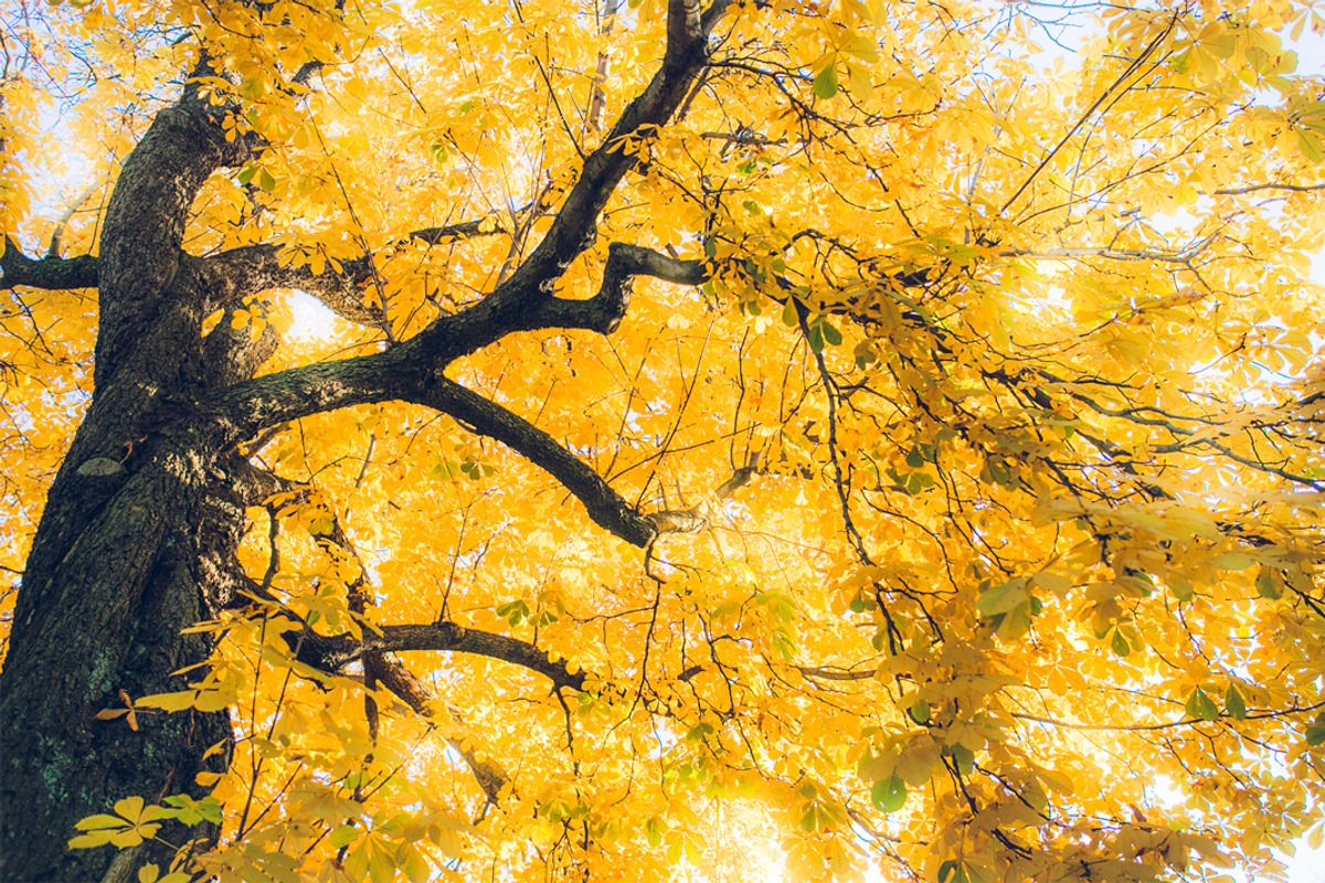 LIGHTROOM PRESETS - travel lifestyle, an Action Add-On by Graphics, Presets, Photos (Photo 25 of 67)