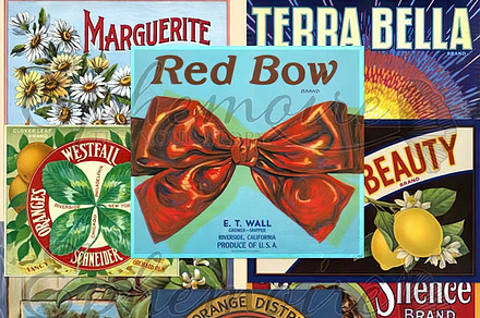 Vintage Fruit Crate Labels #3