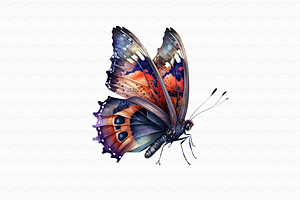 Watercolor Flower Butterfly Clipart