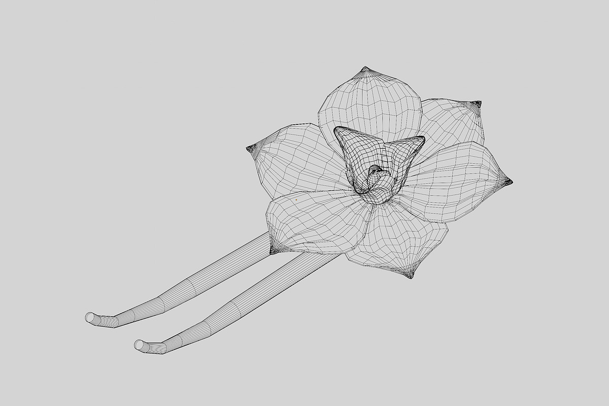 Vanilla flower, an Object 3D Model by fahad121 (Photo 4 of 5)