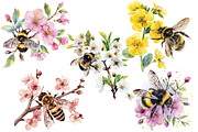 Watercolor Spring Bees and Flowers, an Animal Illustration by Mash Mash Stickers (Thumbnail 4 of 9)