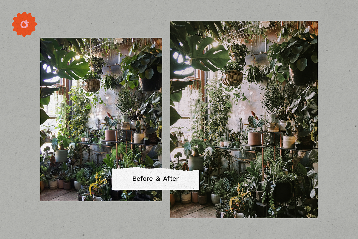 8 Jardin Lightroom Presets, a Preset Add-On by SHOOM HOUSE (Photo 4 of 15)