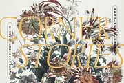 Corner Stories Contrast Serif, a Script Font by Letterhend Studio (Thumbnail 11 of 11)