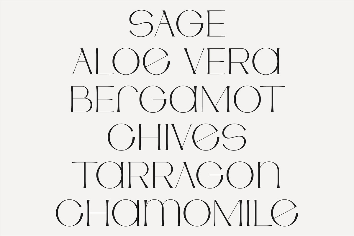 Free Download Preview - Fontfreebie