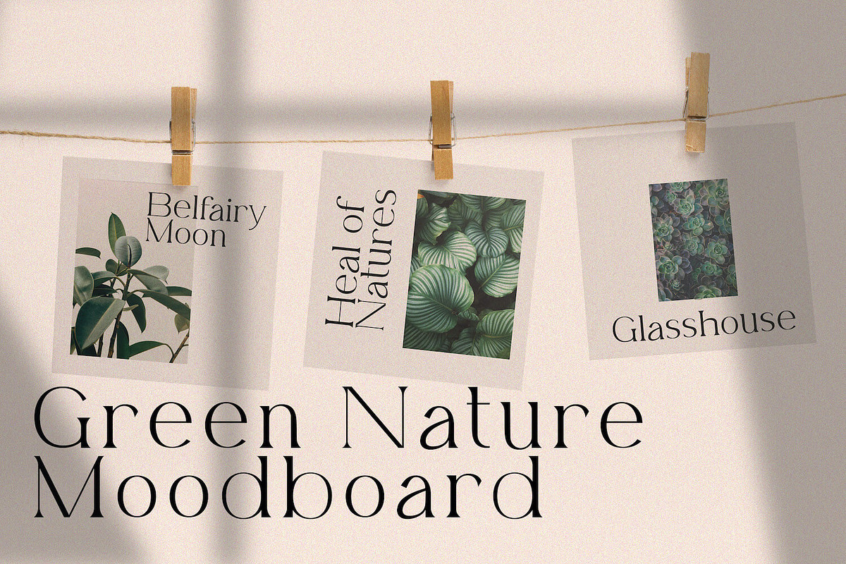 Belfina Husairy - Classic Serif Font, a Serif Font by StringLabs (Photo 6 of 11)