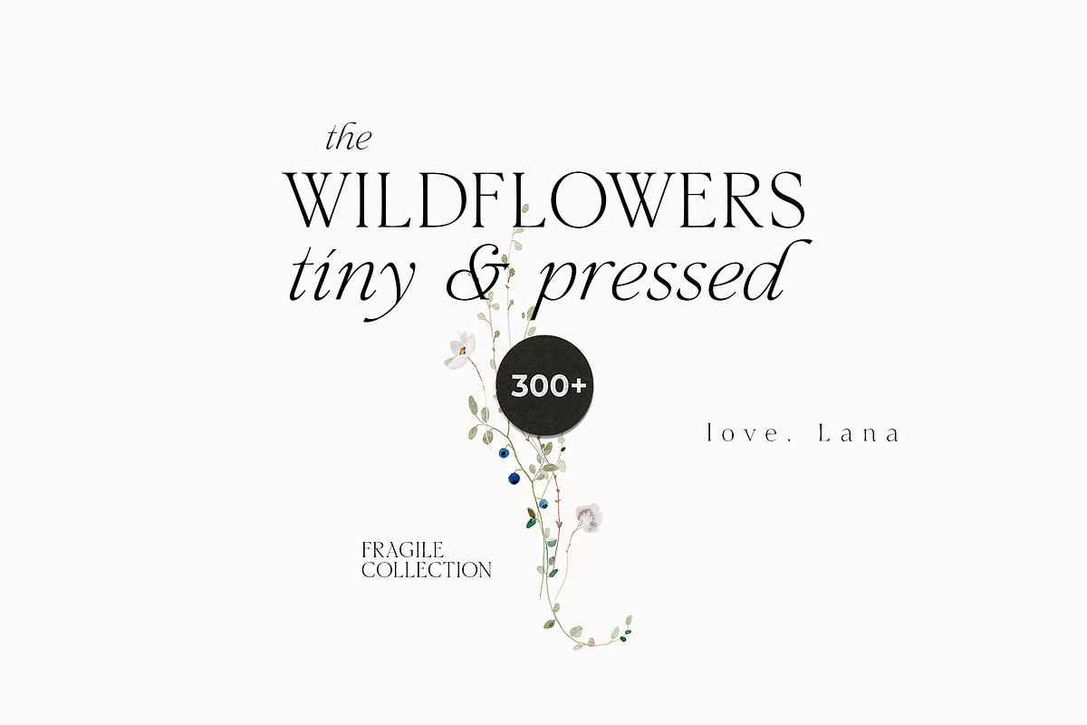 WILDFLOWERS tiny watercolor floral, a Decorative Illustration by Lana Elanor (Photo 15 of 15)