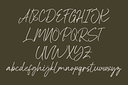 Baleono - Script Font, a Handwritten Font by GFRcreative (Thumbnail 6 of 8)