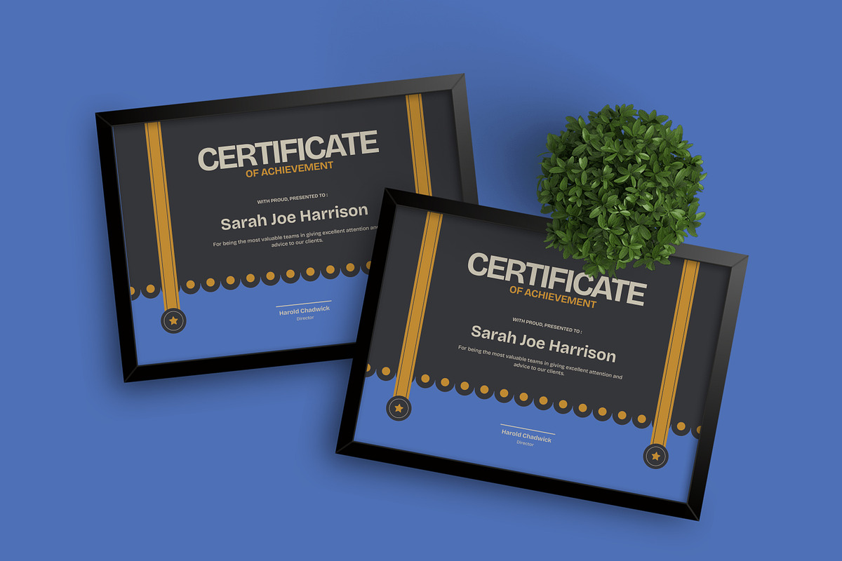 Achievement - Certificate, a Brochure Template by Izdihaar_Studio (Photo 3 of 3)