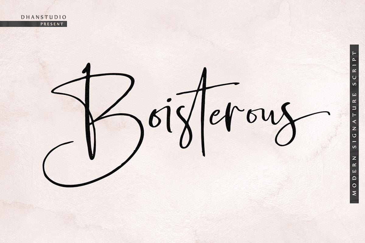 Boisterous Signature, a Script Font by Dhan Studio (Photo 2 of 24)