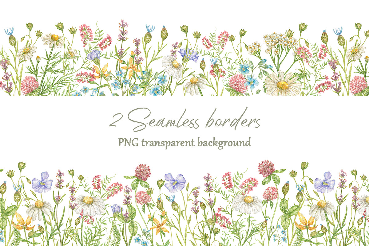 Little wild flower, a Decorative Illustration by Irina Avdeeva (Photo 3 of 9)