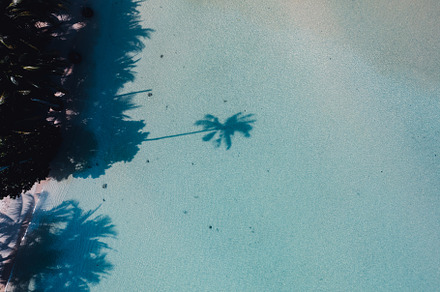 Beach with clear blue sea and palm tree shadows, a Nature Photo by Art Rachen