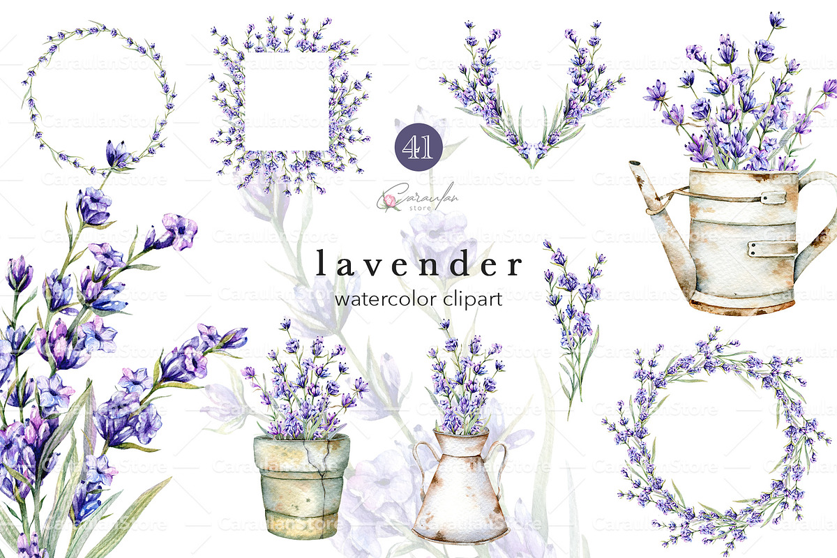Lavender Watercolor Collection, an Object Illustration by CaraulanStore (Photo 1 of 9)
