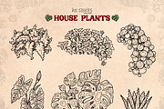 House Plants, an Object Illustration by Ink Stories (Thumbnail 9 of 23)