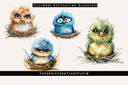 Grumpy Bird in Nest PNG Clipart, an Animal Illustration by Geniecreativestudio (Thumbnail 4 of 9)
