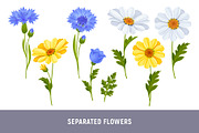 Set With Daisy And Cornflower, a Pattern Graphic by Vector beauty (Thumbnail 7 of 9)