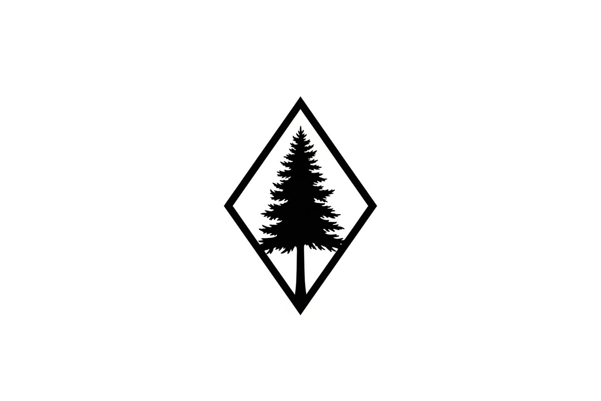 Geometric Pine Tree Emblem Bundle, an Illustration by Creativeshirt (Photo 10 of 31)