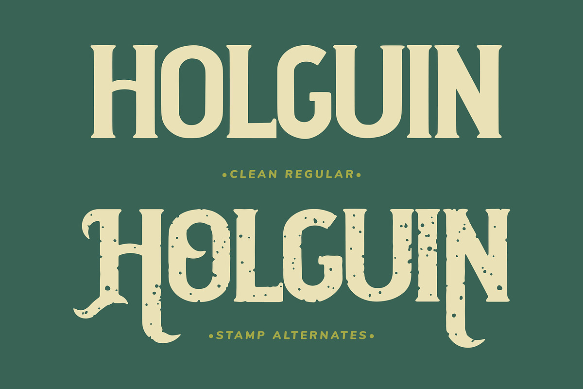 Holguin - Vintage Typeface, a Serif Font by Arendxstudio (Photo 11 of 11)
