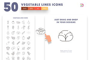 50 Vegetable Lines Icons