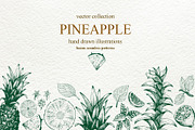 Pineapple Vector Collection, a Food Illustration by Lubov Illustrations Shop (Thumbnail 1 of 6)