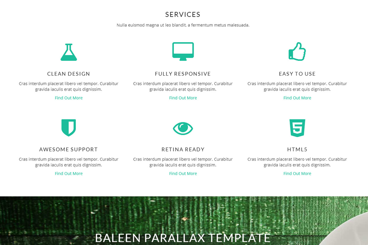 Baleen - One Page Bootstrap Template, a Bootstrap Template by DesignOrbital (Photo 2 of 5)