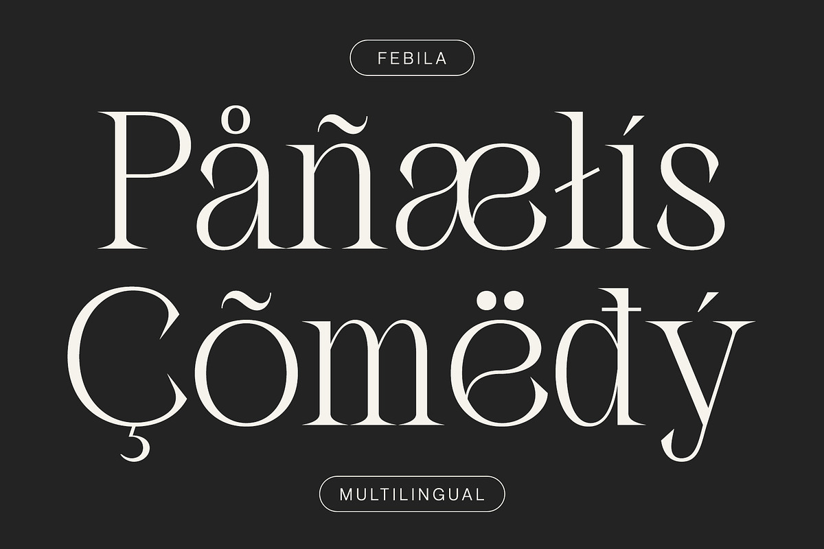 Febila - Elegant Serif Font, a Serif Font by Craft Supply Co. (Photo 3 of 8)