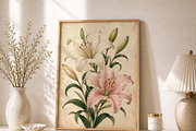 Vintage Pink Lily Wall Art, a Decorative Illustration by elfy creative (Thumbnail 2 of 5)