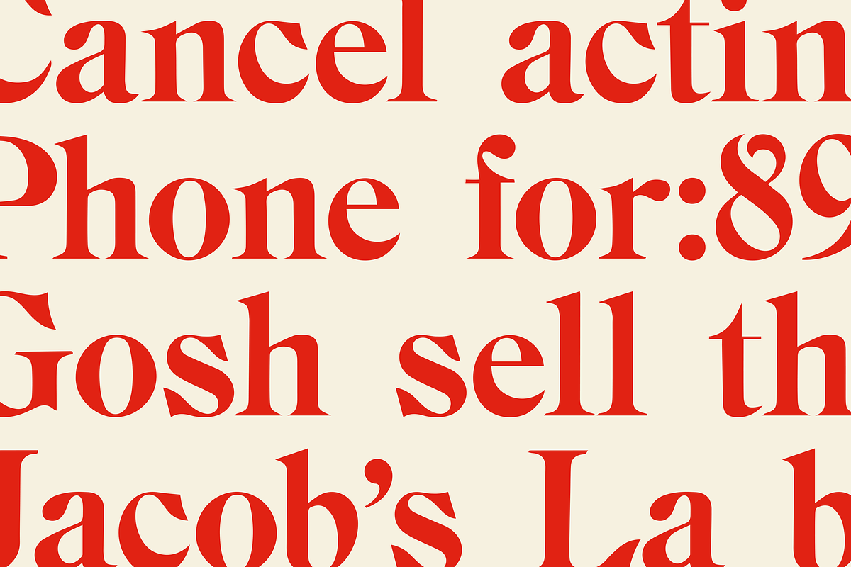 BN Chester - A Unique Serif Font, a Handwritten Font by Bnick (Photo 4 of 10)