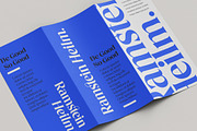 Costaline Font Family| Sale 40%, a Serif Font by Megatype (Thumbnail 12 of 15)
