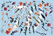 The Secret Garden • Floral Pack, an Object Graphic by Deveze Art & Co (Thumbnail 8 of 11)