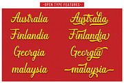 Greater Amberjack, a Script Font by Megatype (Thumbnail 6 of 10)