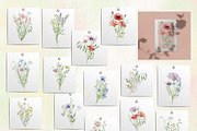 Watercolor Wildflowers Botanical Set, a Decorative Illustration by BarvArt (Thumbnail 7 of 22)