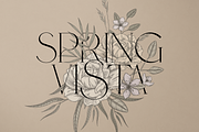Probity - Creative serif font + more, a Serif Font by VP Fonts (Thumbnail 2 of 22)