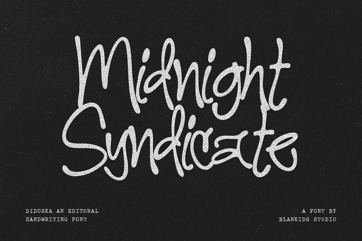 Didoska – Editorial Handwriting Font, a Handwritten Font by Blankids Studio (Photo 3 of 12)