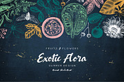 Exotic Plants Vector Collection, a Seasonal Illustration by Yevheniia (Thumbnail 1 of 6)