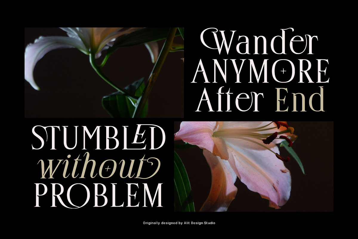 Deloca Moreys Typeface, a Serif Font by alit design (Photo 5 of 20)
