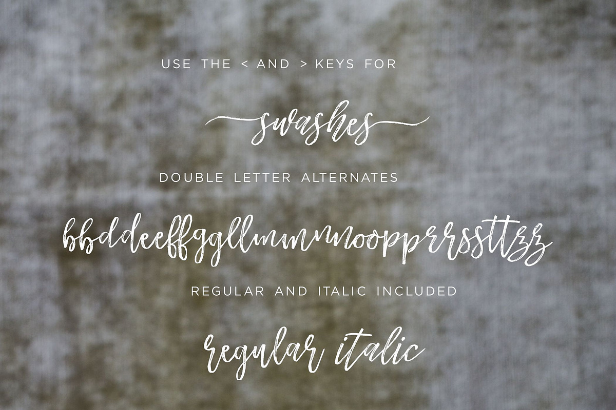 Another Wild Modern Brush Script preview 3