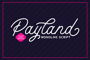 Payland Monoline Script, a Script Font by Rillatype Studio (Thumbnail 1 of 9)