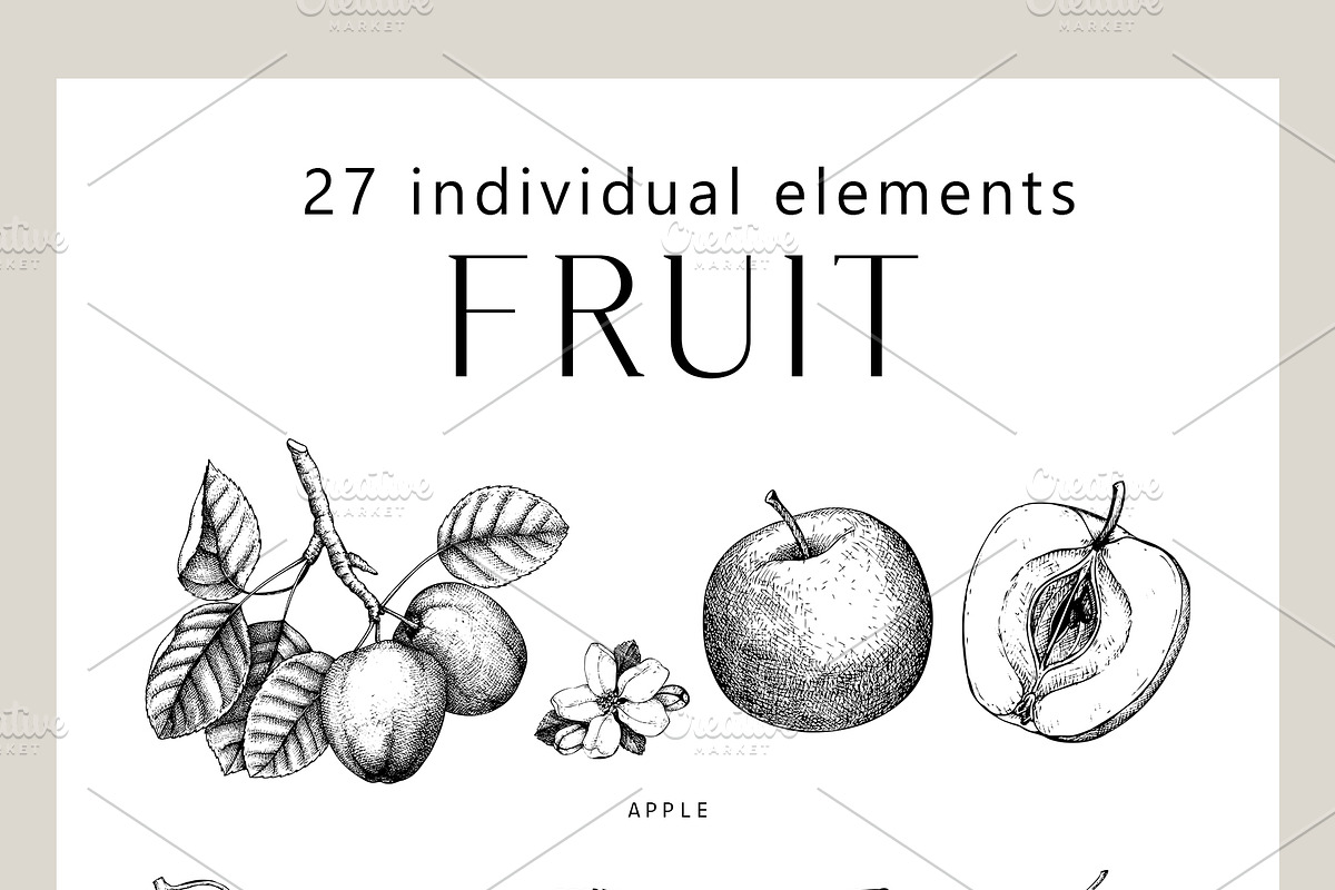 BUNDLE - Fruit & Berries Collection, a Food Illustration by Yevheniia (Photo 5 of 9)