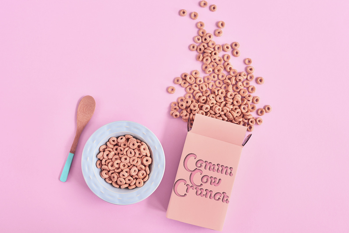 Gemini Cows Retro Typeface, a Font by Rachel McBride Creative (Photo 8 of 9)