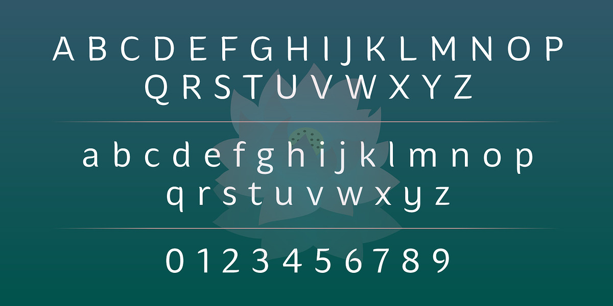 Hua, a Sans Serif Font by YXType (Photo 2 of 10)