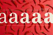 Goodfood Font Family, a Serif Font by MaGo (Thumbnail 6 of 7)